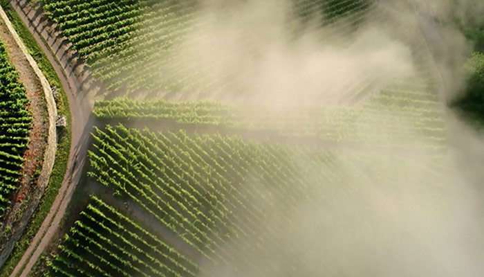 Aerial view of crops seen through clouds