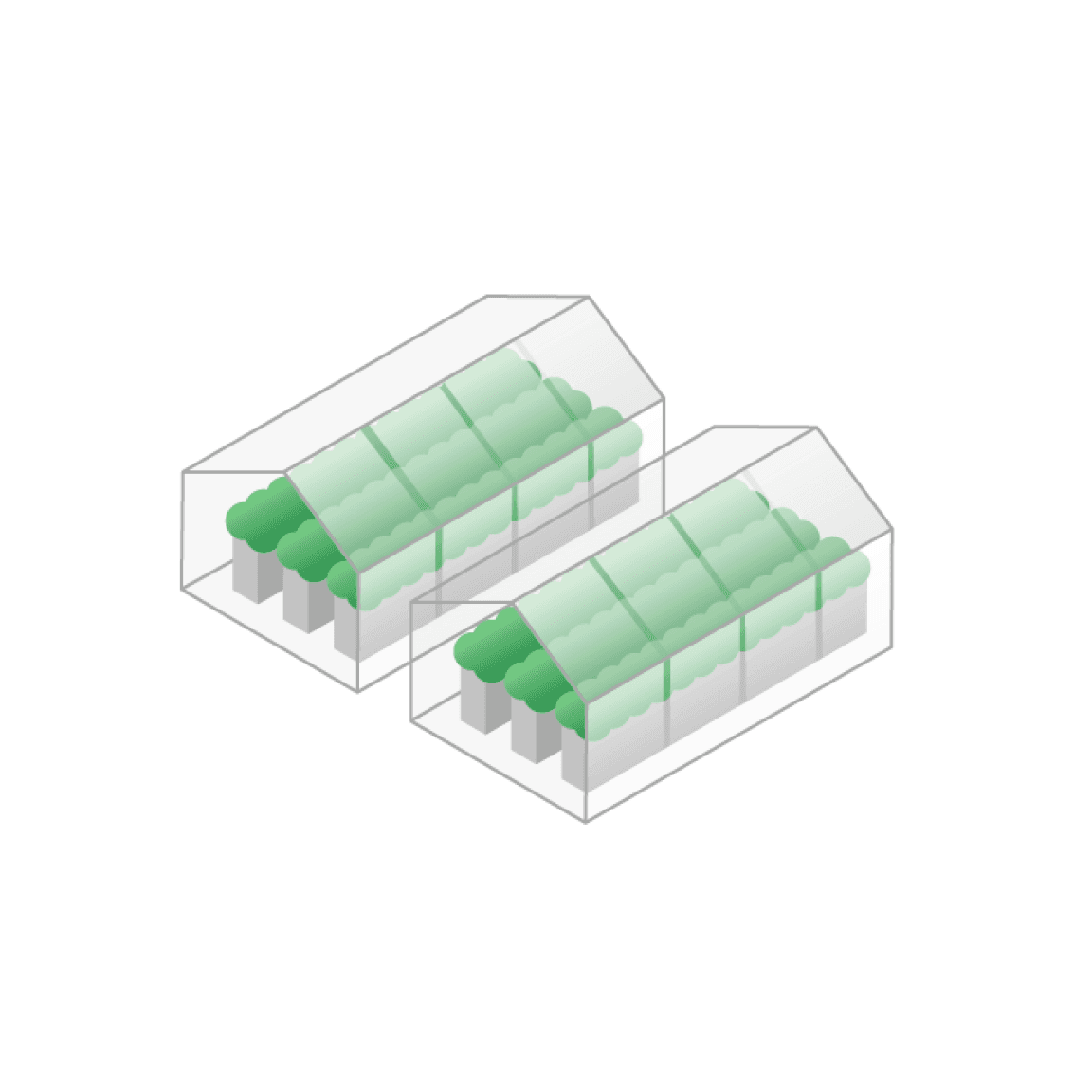 isometric illustration of greenhouses
