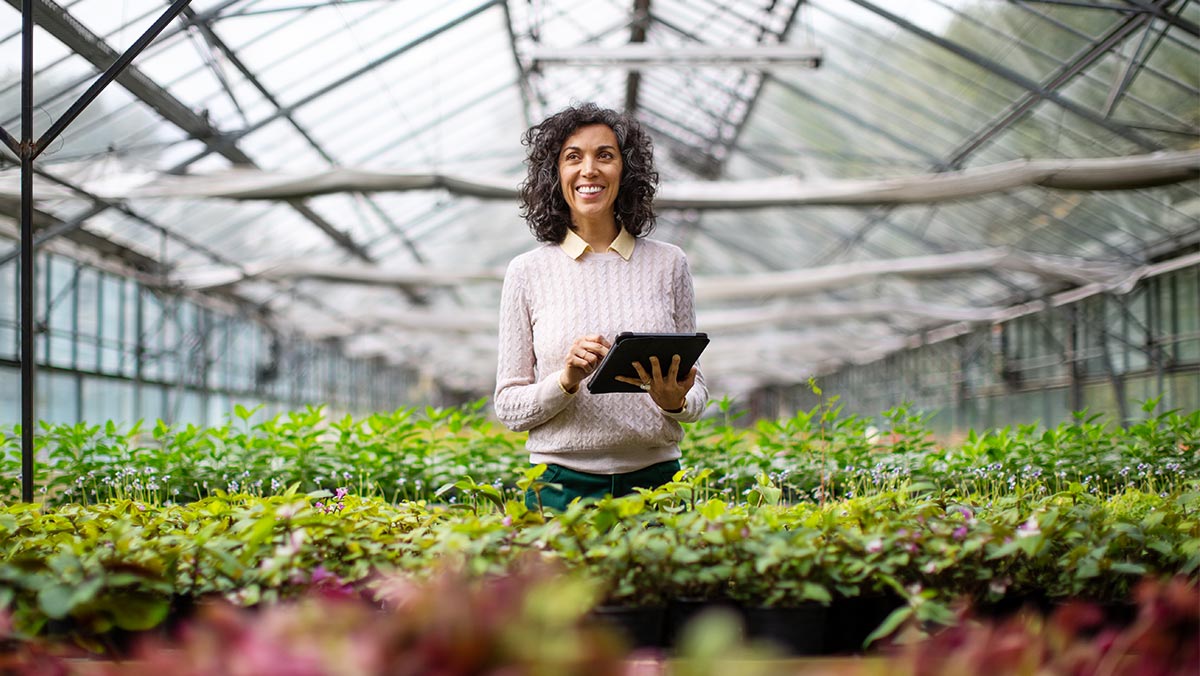 Worker in a greenhouse with a tablet PC