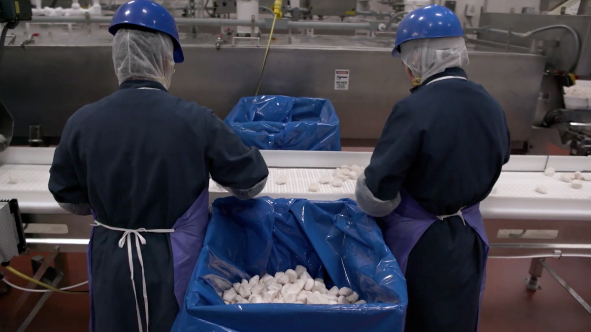Two workers packaging frozen scallops