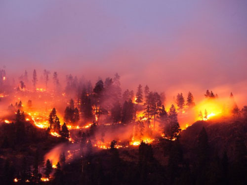 Incendios forestales