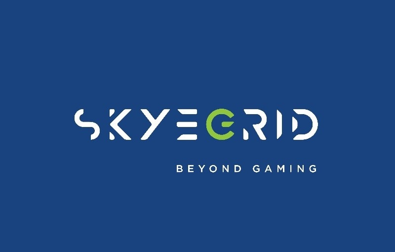 Skyegrid社のロゴ
