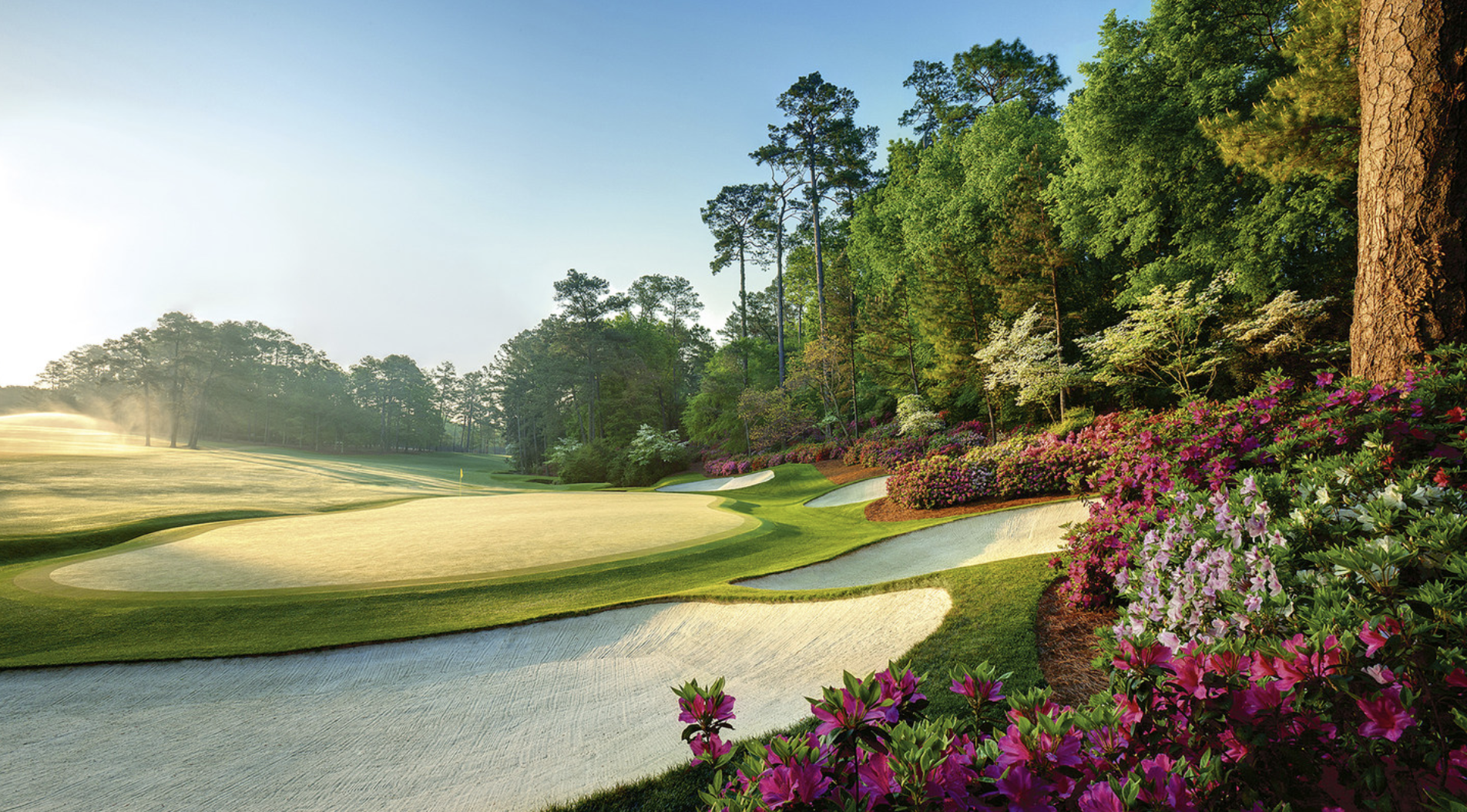 Masters course with azaleas in foreground