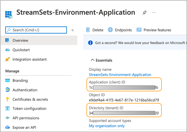 Values to copy from the Overview tab for the application