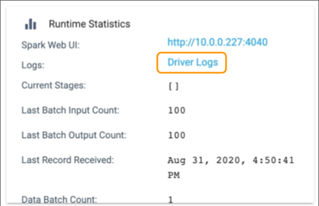 Runtime Statistics section in the Monitoring panel