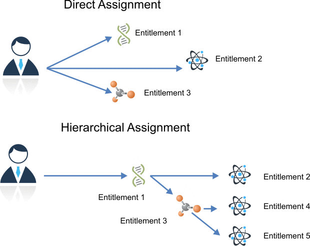 what is direct assignment