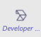 Developer Portal