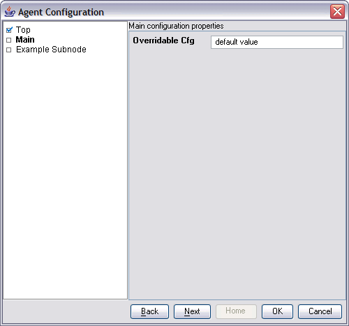 Agent Configuration window with Main selected and default value entered in the Overridable Cfg field