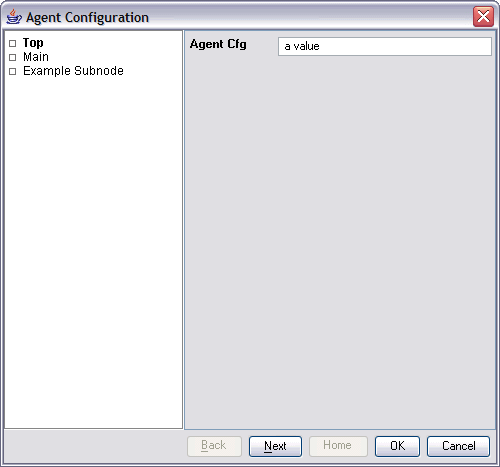 Agent Configuration window with Top selected, and a value entered in the Agent Cfg field