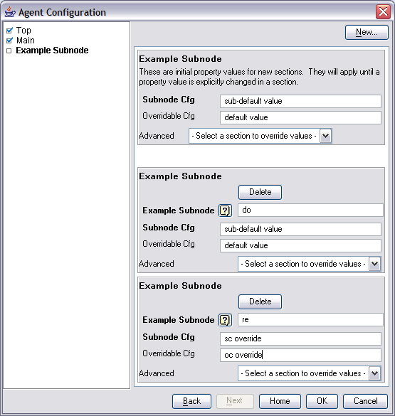 Agent Configuration window with two defined subnode instances beneath the example subnode