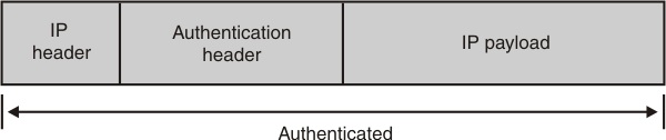 Shows IP header, authentication header, IP payload, all authenticated.