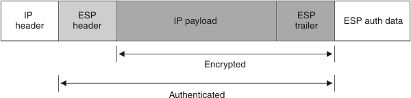 IP head,ESP head,IP payload,ESP trail,ESP auth data; IP payload - ESP trail encrypted; ESP head - trail authenticated