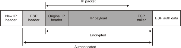 New IP head,ESP head,IP packet,ESP trail, ESP auth data;IP packet - ESP trailer encrypted, ESP header - ESP trail auth