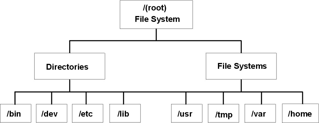 Sys files. Структура файловой системы Linux. Структура корневого каталога Linux. Fine System. Файловая система логотип.