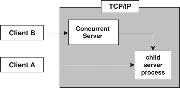 Network Programming: Write an echo program with client and concurrent  server using TCP.