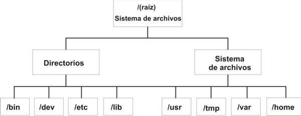 Cuaderno De Josafat Estructura Jerarquica Del Sistema De Archivos 8397