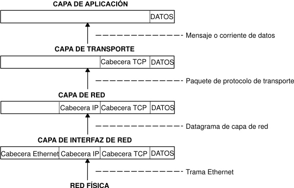 Movimiento de la información desde el sistema principal hasta la aplicación