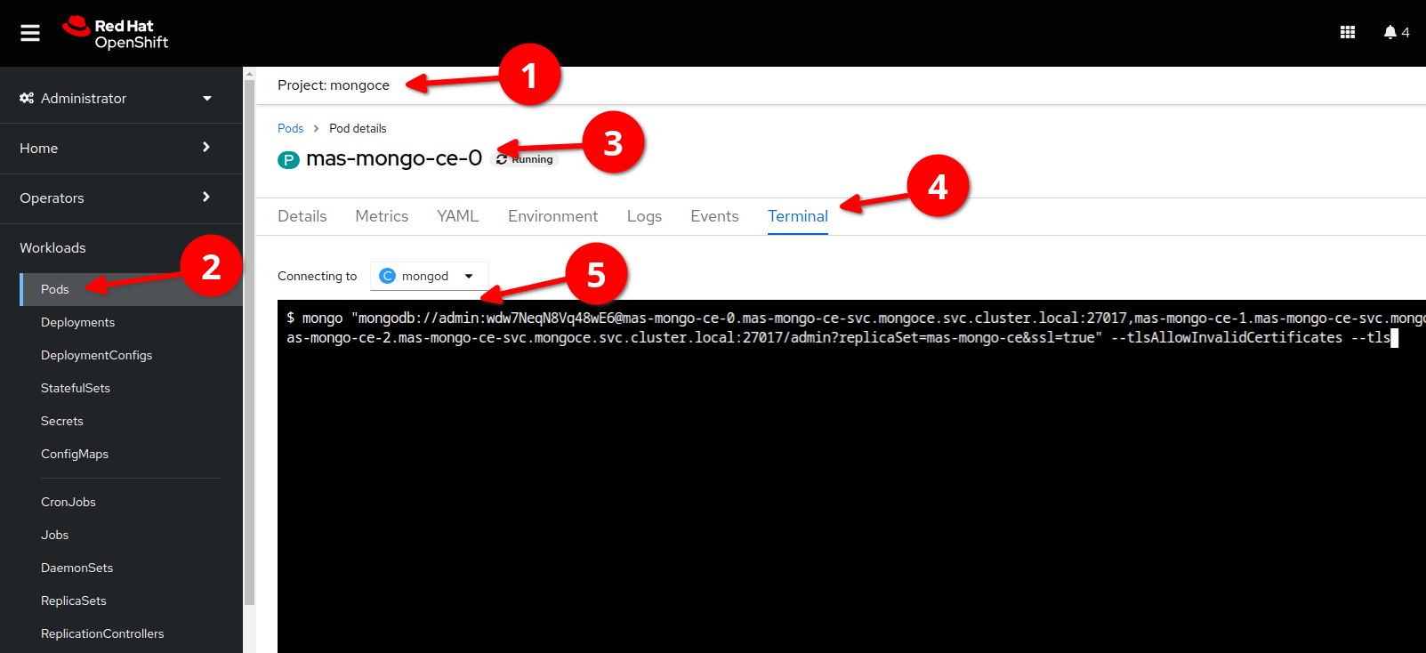 how-to-open-a-mongo-shell-for-mas-mongodb