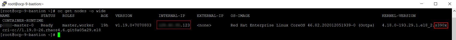 ocp get nodes s390x