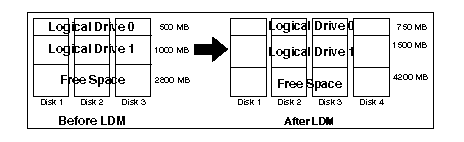 logical drives in a disk array