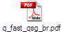 q_fast_qsg_br.pdf